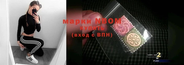ГАЛЛЮЦИНОГЕННЫЕ ГРИБЫ Сосновый Бор