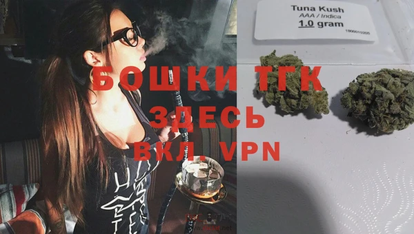 крисы Сосновка